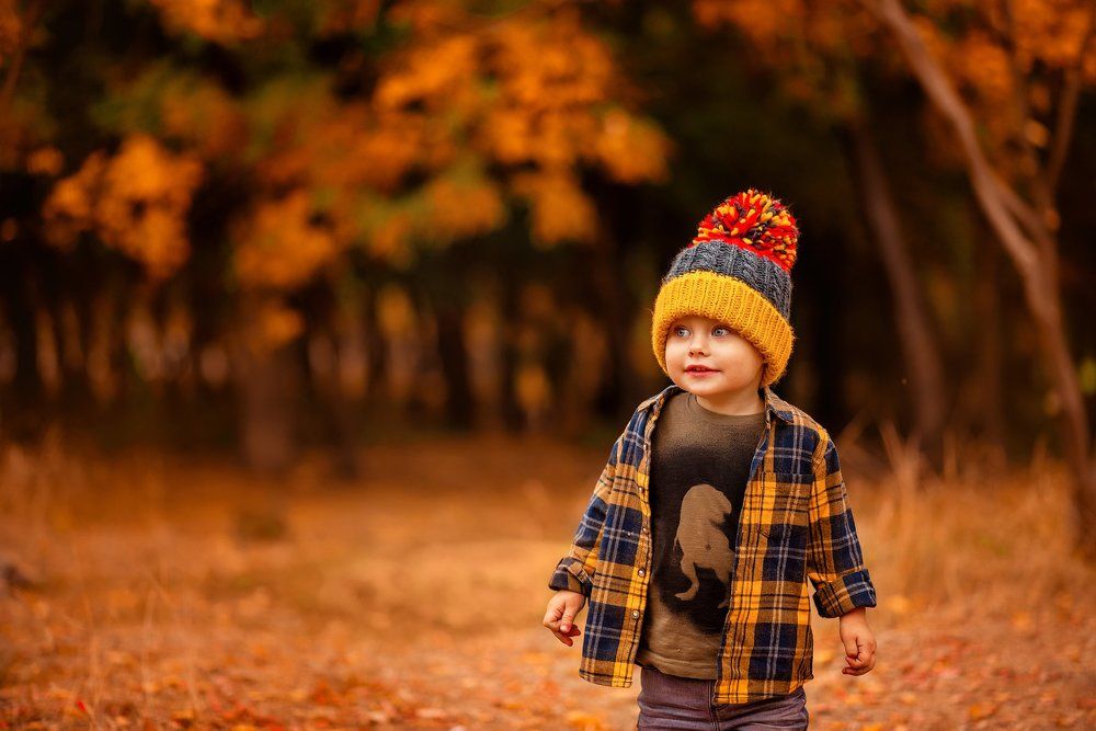 Краски осени