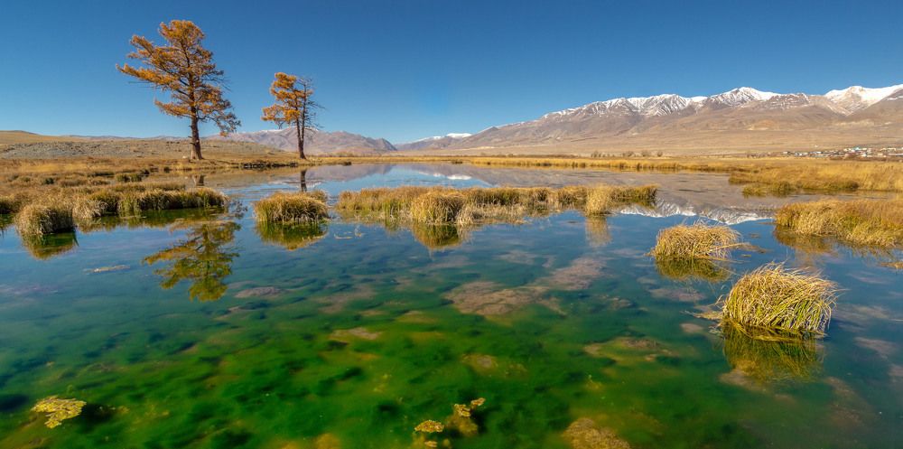 Путешествие по Алтаю