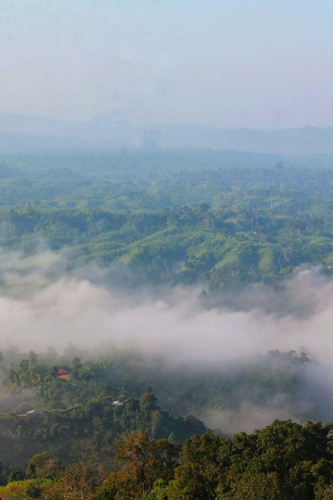 Beautiful Bangladesh