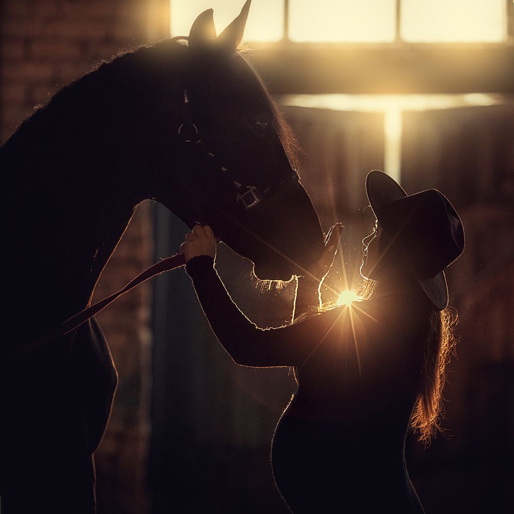 Свет внутри