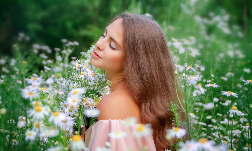 Ромашковое лето