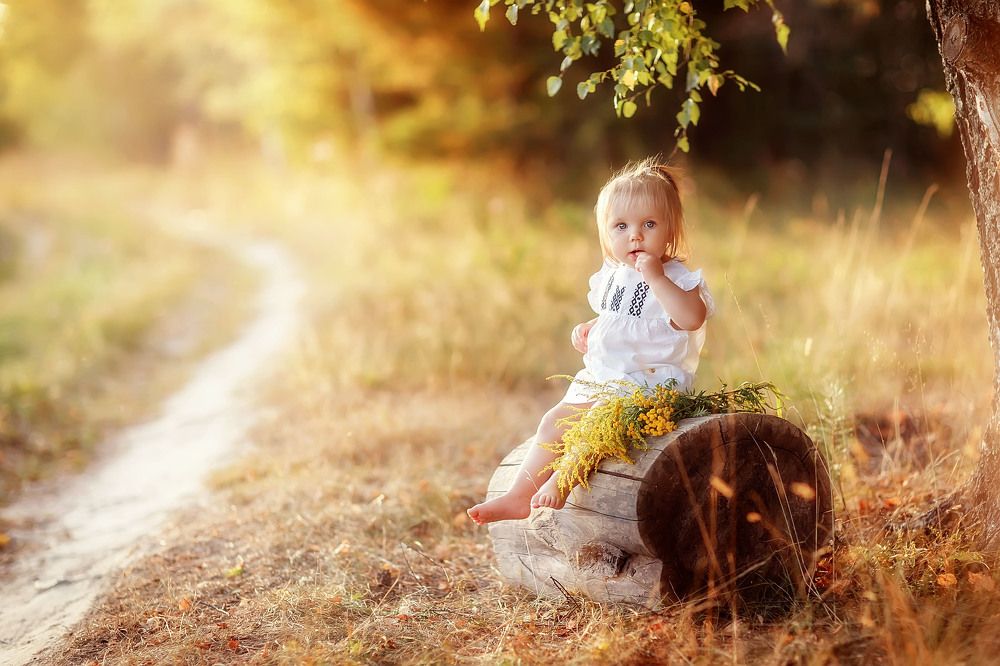 Летний вечер