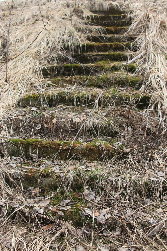 Жизнь после нас