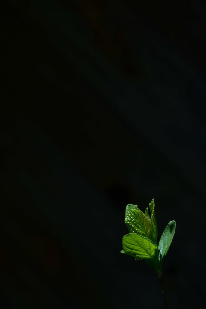 Photograph by Валерия Соловьёва