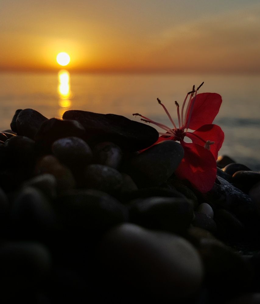 Дыхание рассвета...