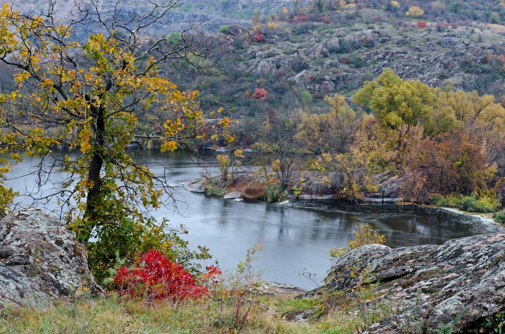 Осенняя сказка