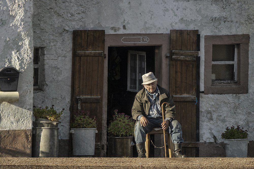 Taking a nap in the sun