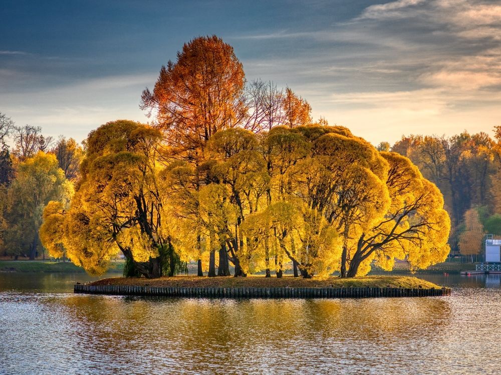 Photograph by Игорь Потапов