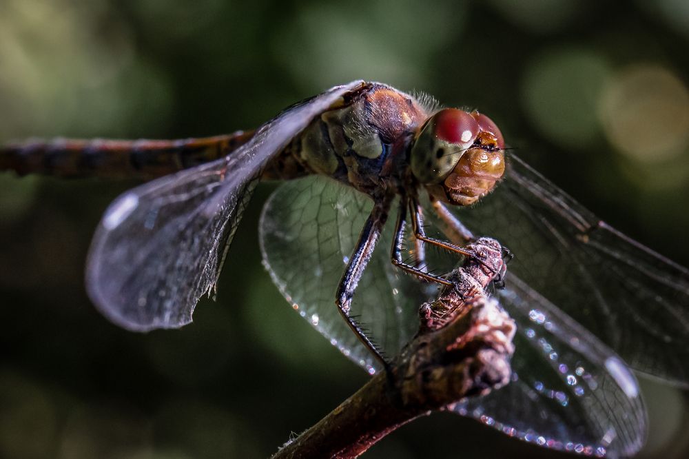 Photograph by Игорь Потапов