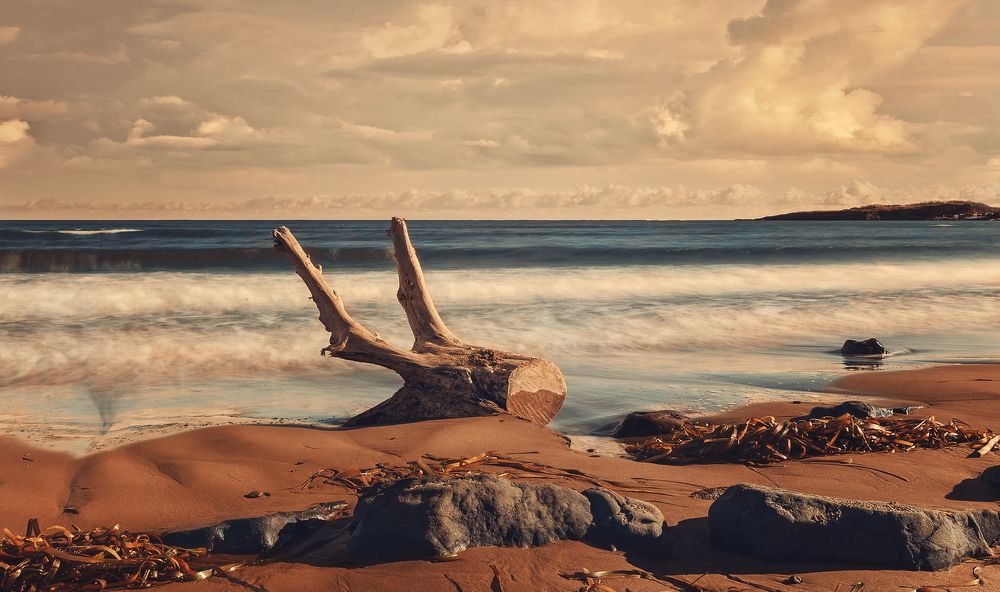 На берегу Татарского пролива