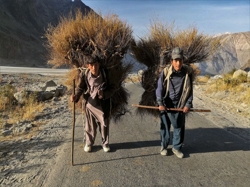 Life in greater karakorams