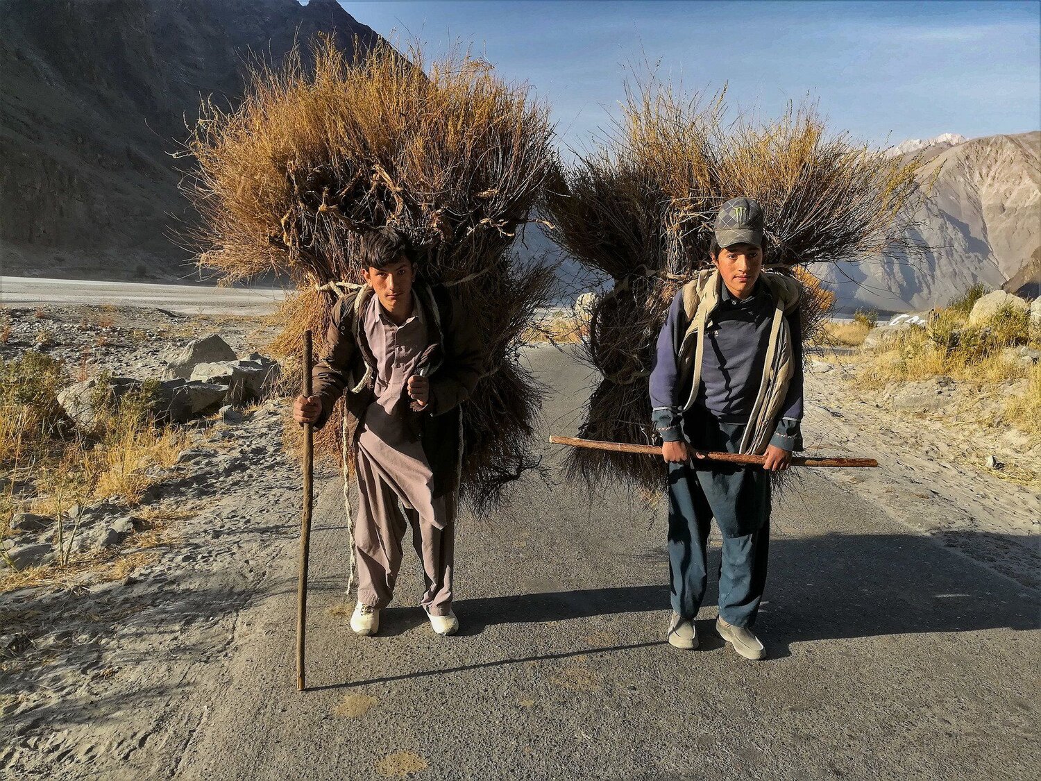 Life in greater karakorams