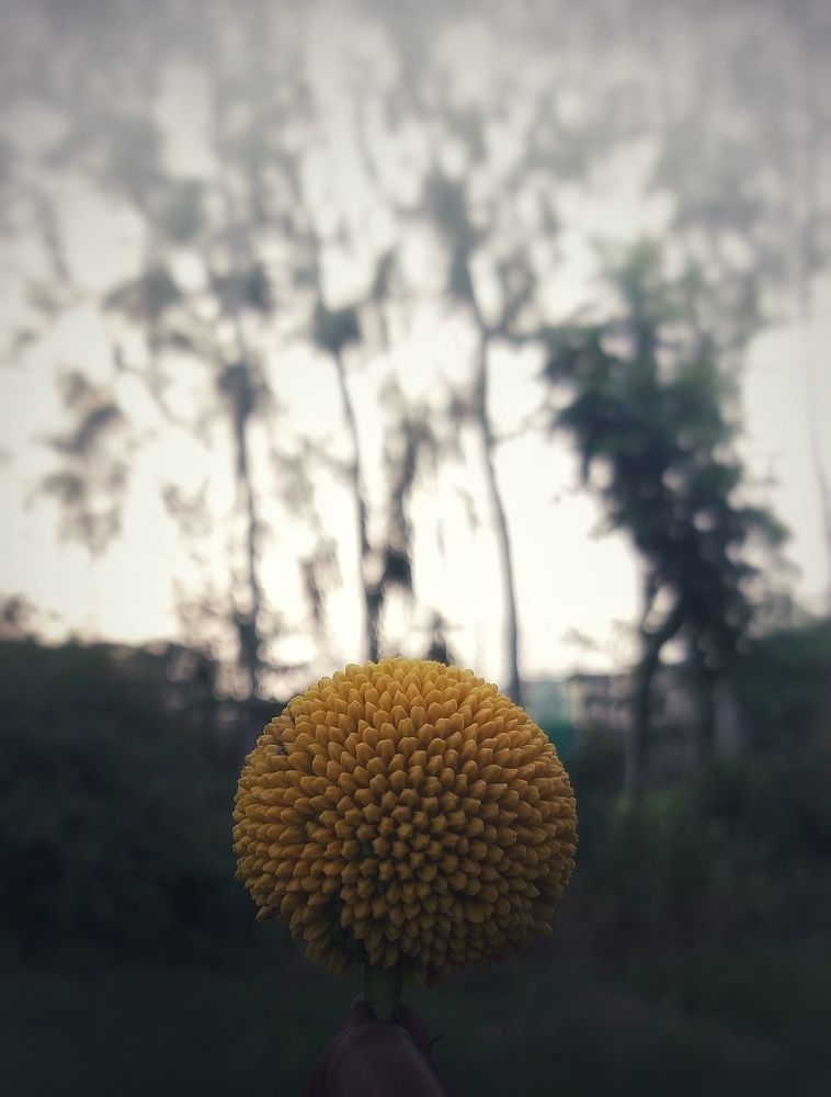 Nature colours