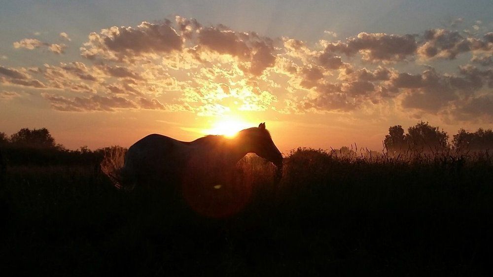 Рассвет в Ночном