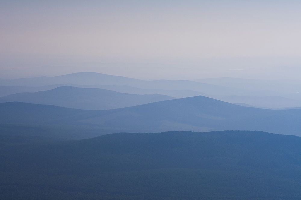 Лесной минимализм