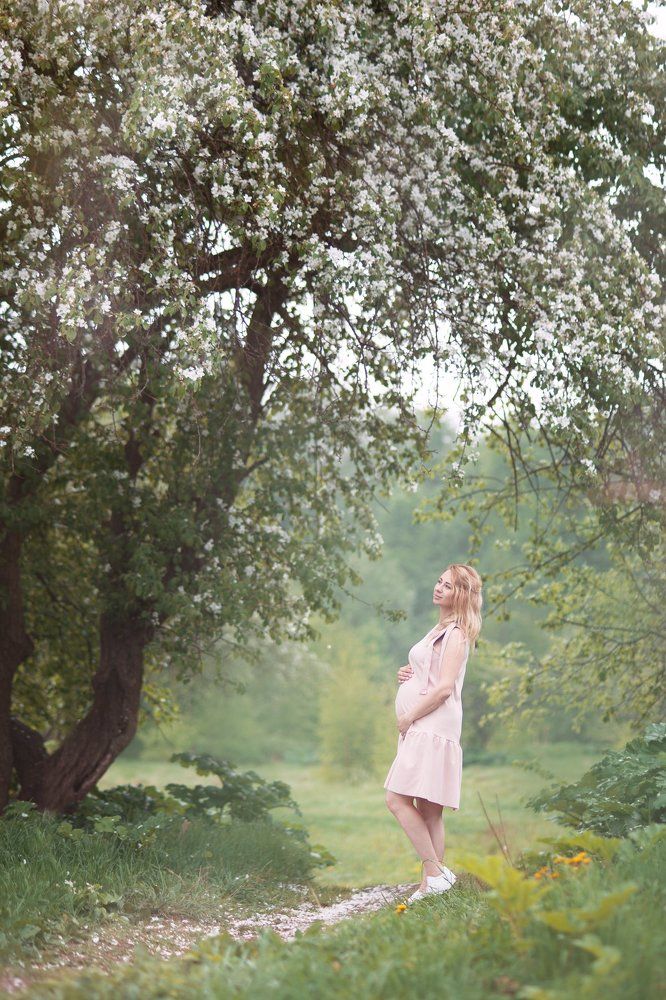 Яблоневый сад