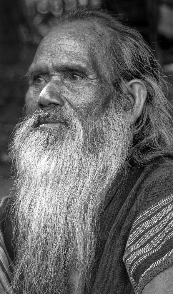 Old man in the forest.