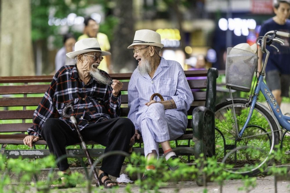 Nụ Cười Việt Nam