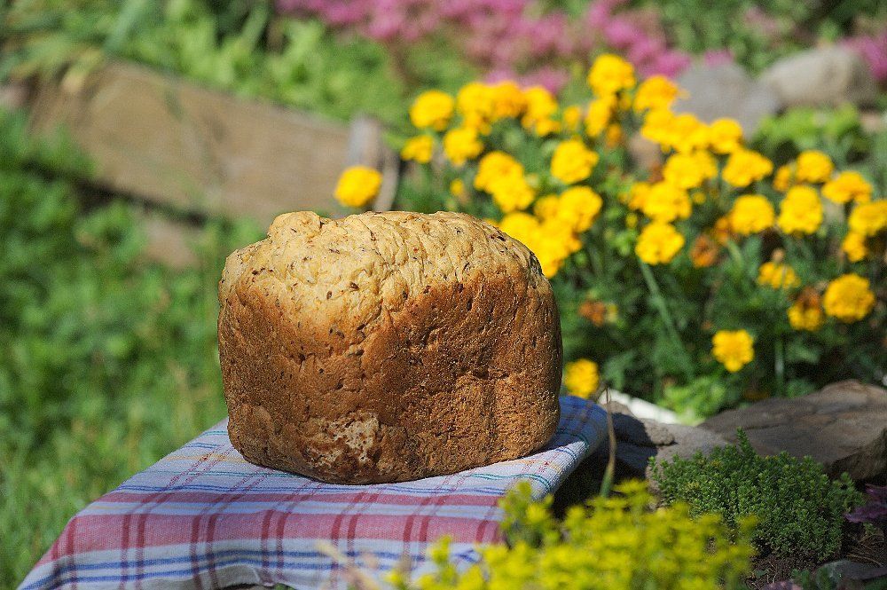Завтрак на грядке.
