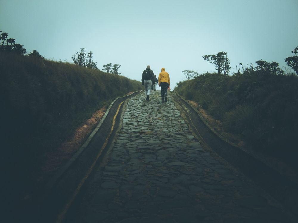 Nature Trail
