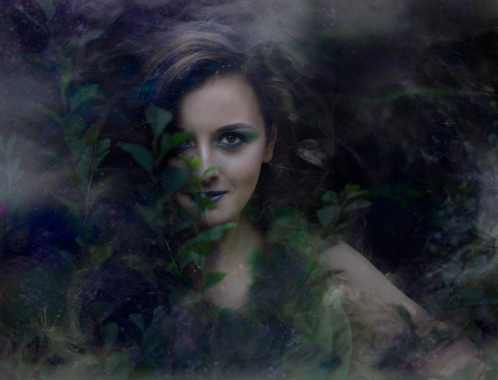 В темном, темном лесу