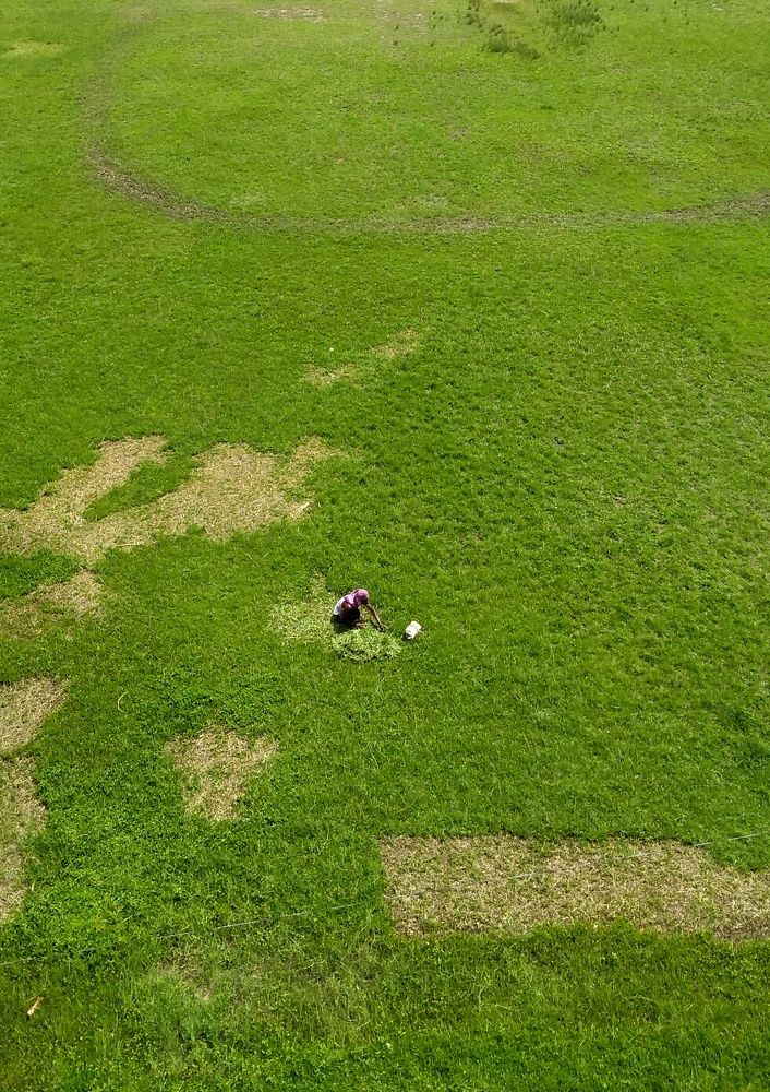 GRASS CUTTER