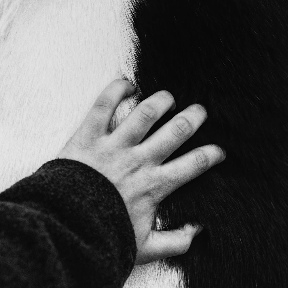 Photograph by Ярослава Махова