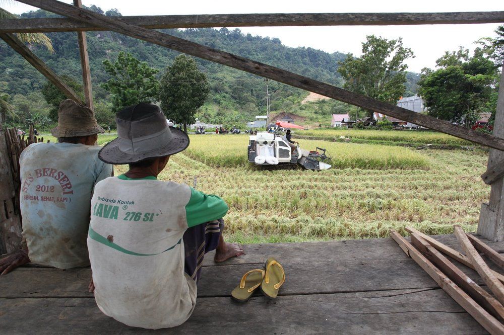 farmers can only watch