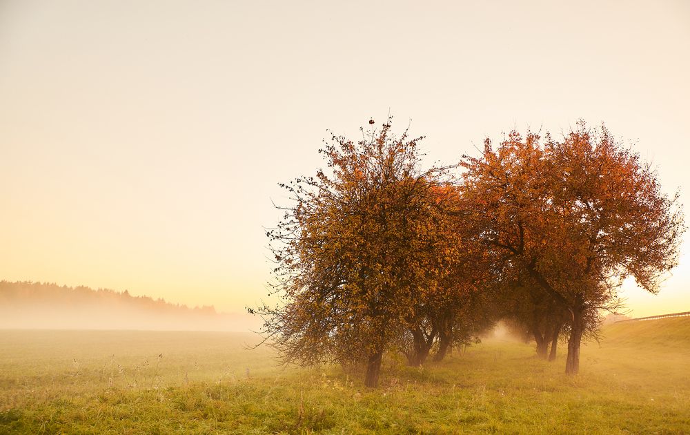 Утро седое...