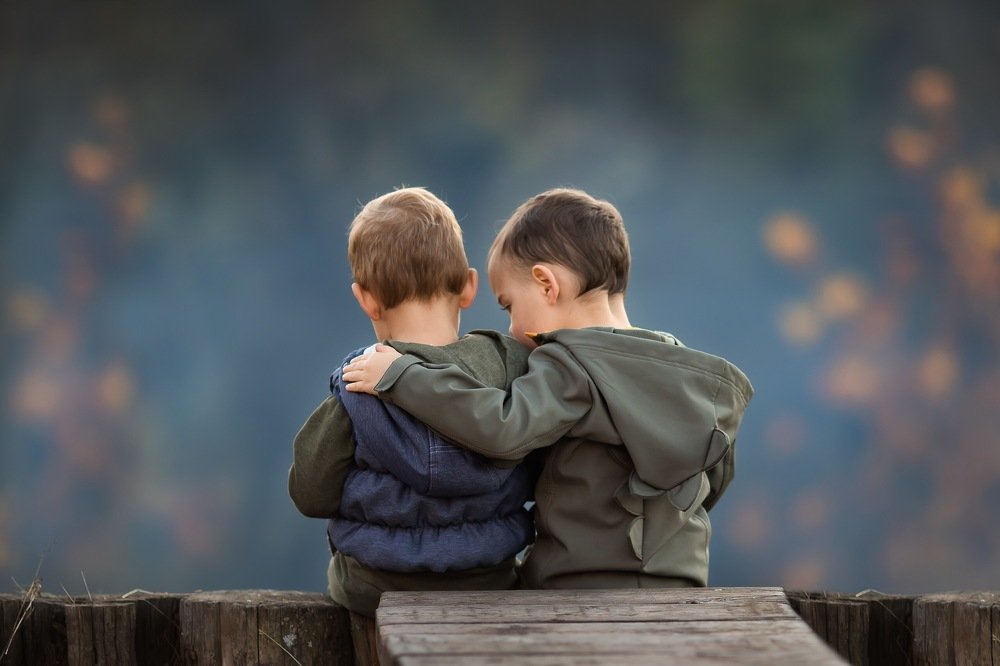 Ёжик в тумане