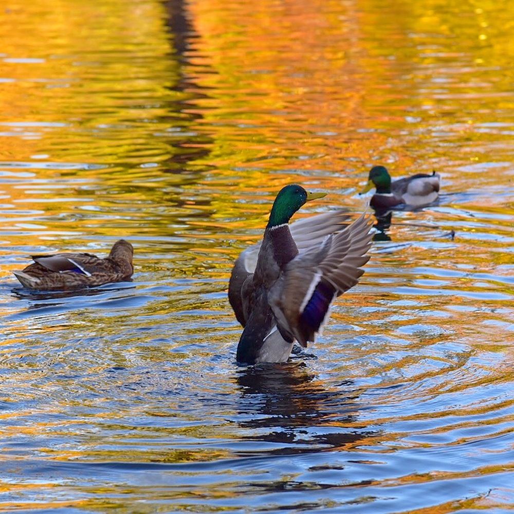 Обнимая целый мир