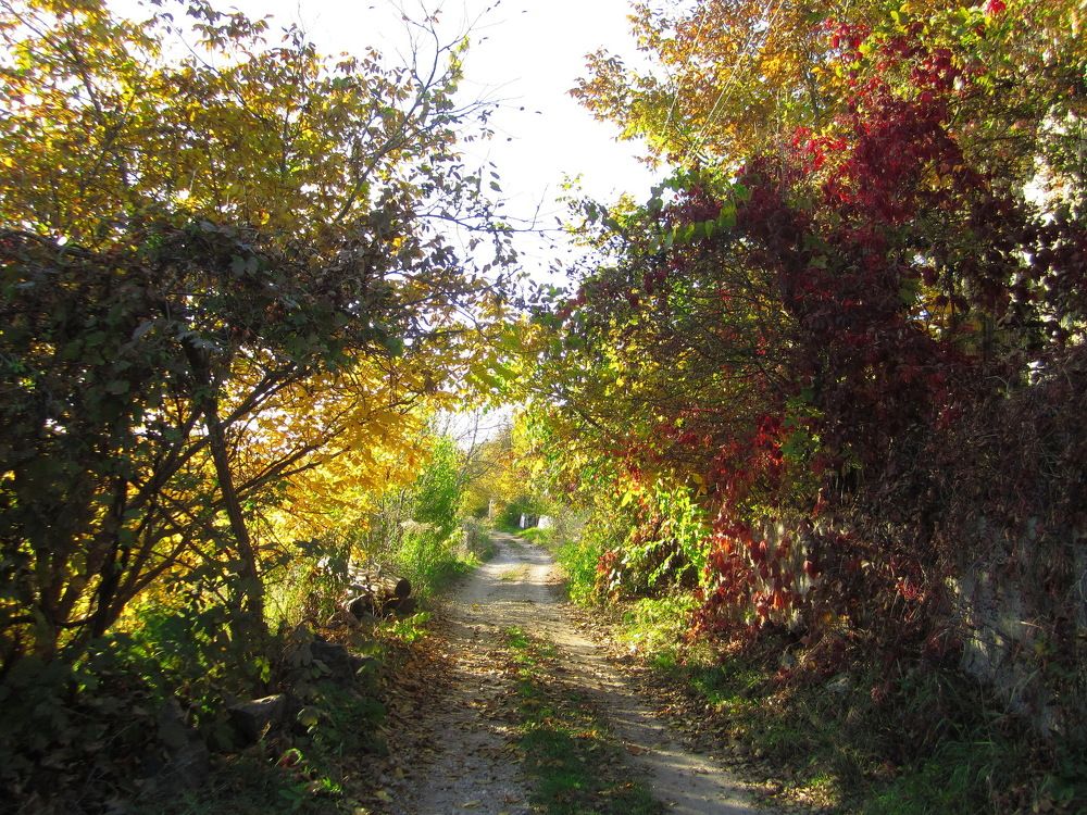 Палитра на Покрова