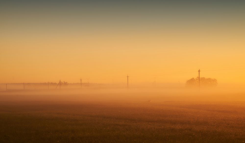 туманная дорога