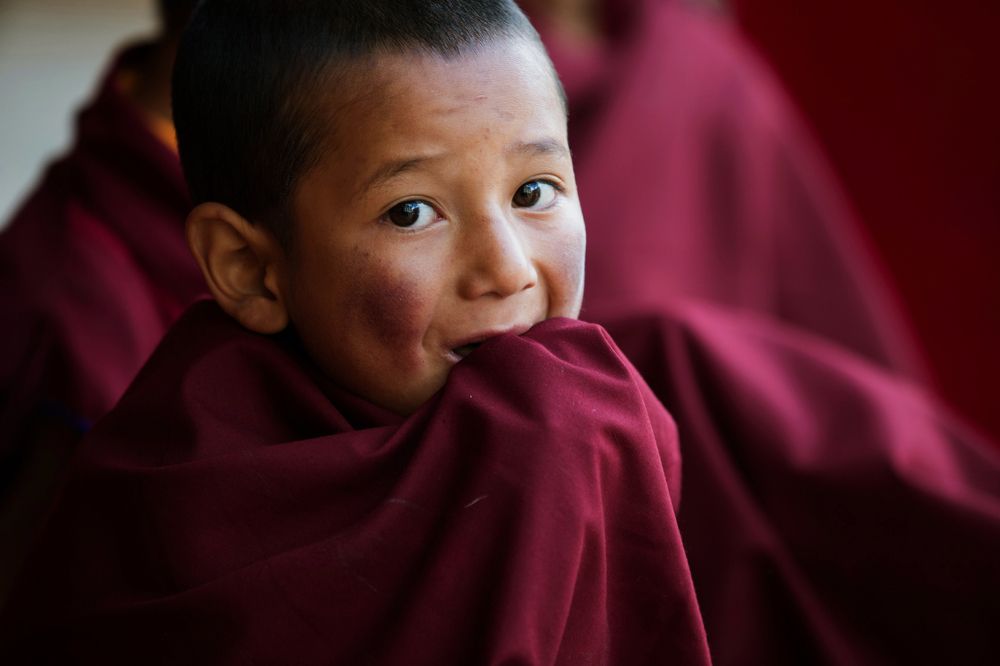 Маленькие буддисты Индии