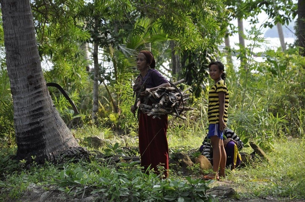 Collecting Firewoods