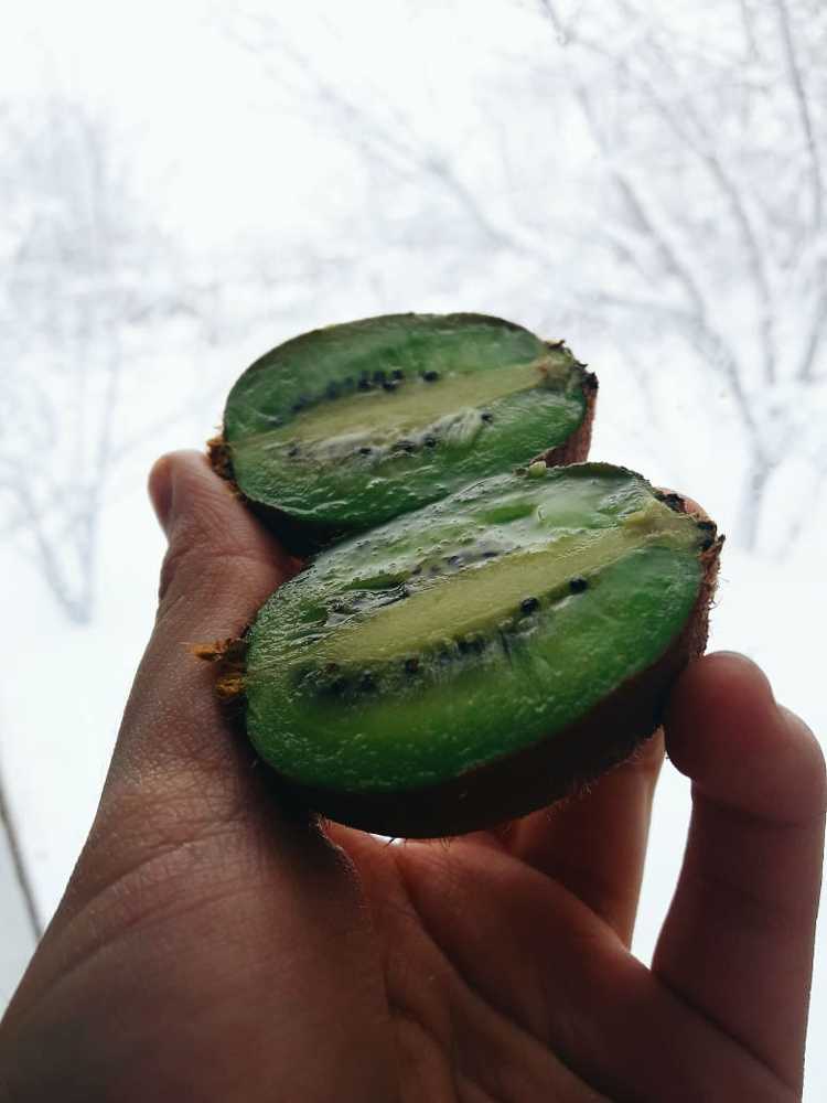 киви на руках