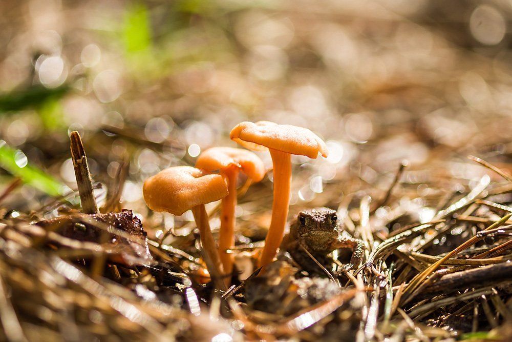 Найди меня, если сможешь!