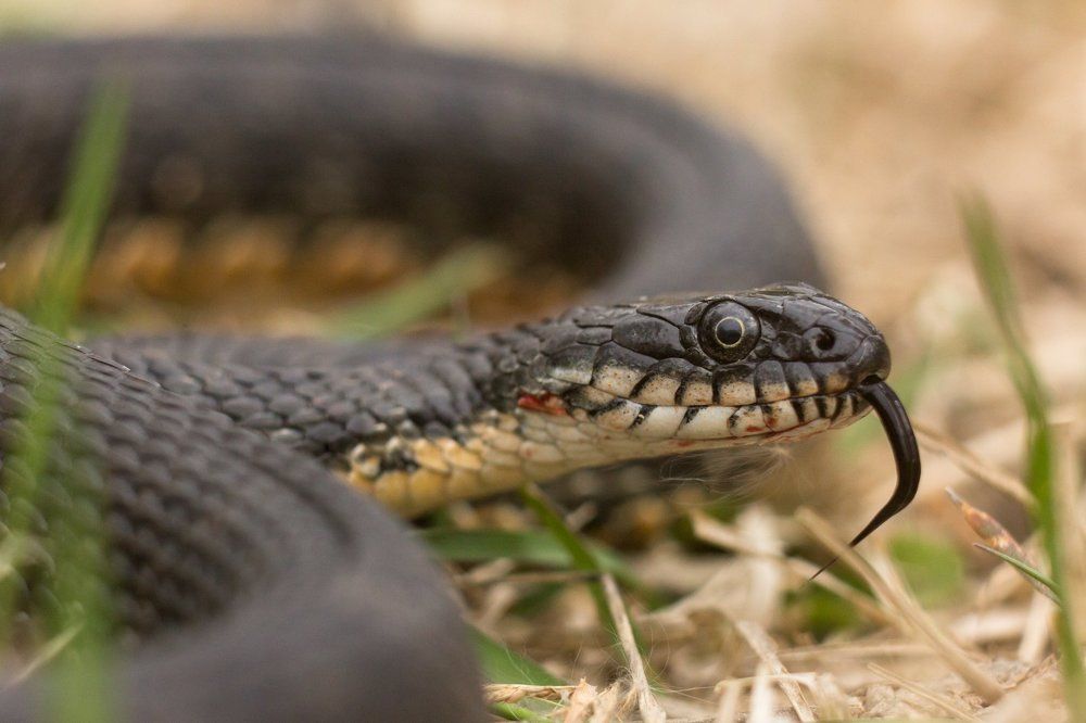 Photograph by Алексей Кашин