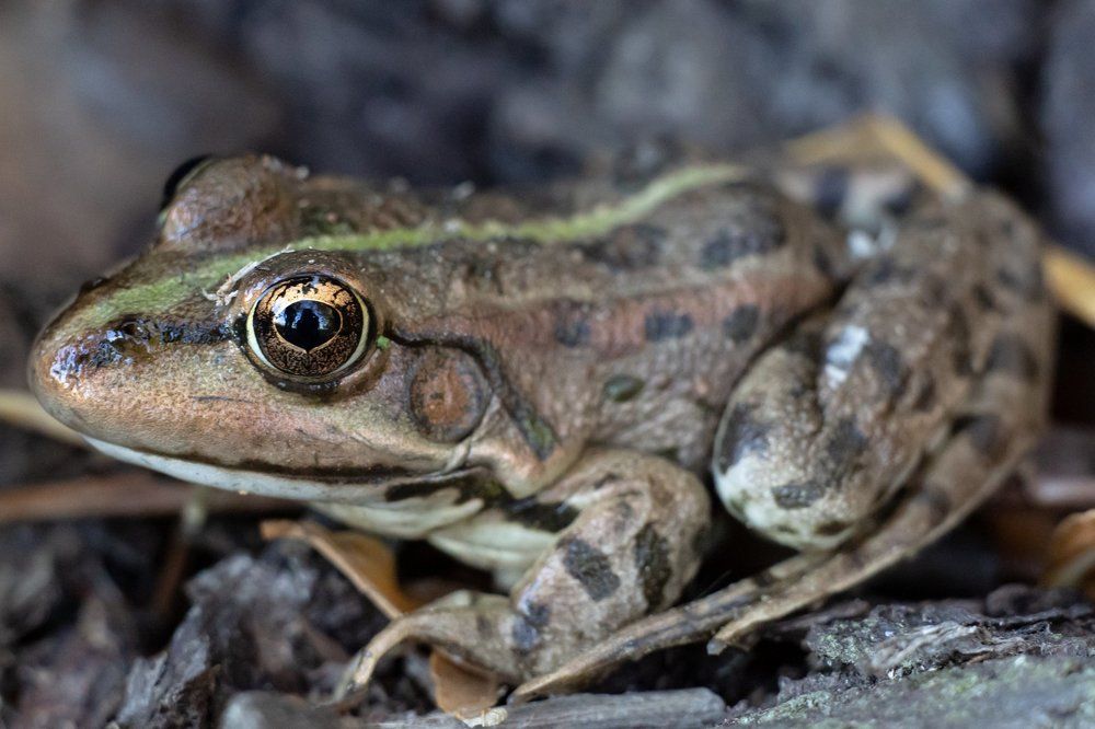 Photograph by Алексей Кашин