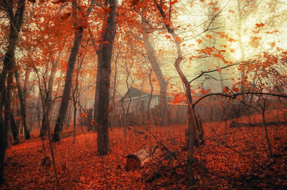 Домик в осеннем лесу