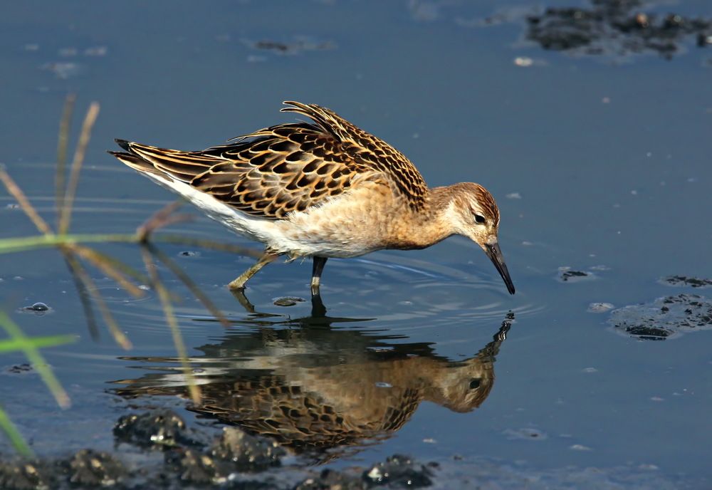 Утренние встречи