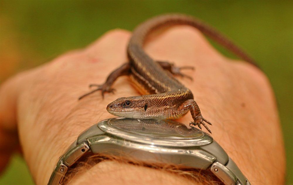 Photograph by Алексей Федулов