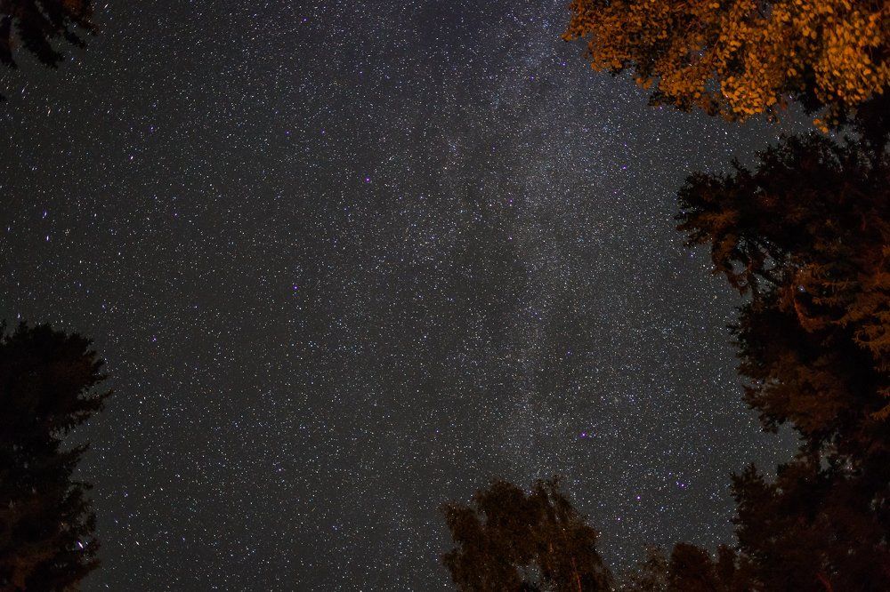 Photograph by Гордеева Виктория