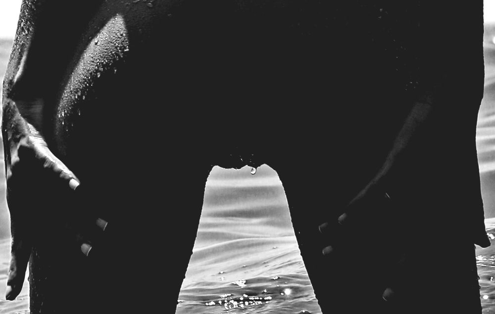 Lines of the body...