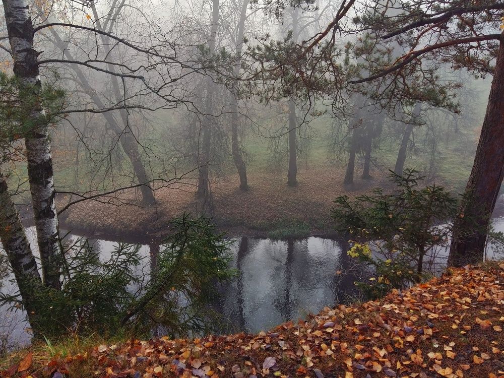 Туманная осень