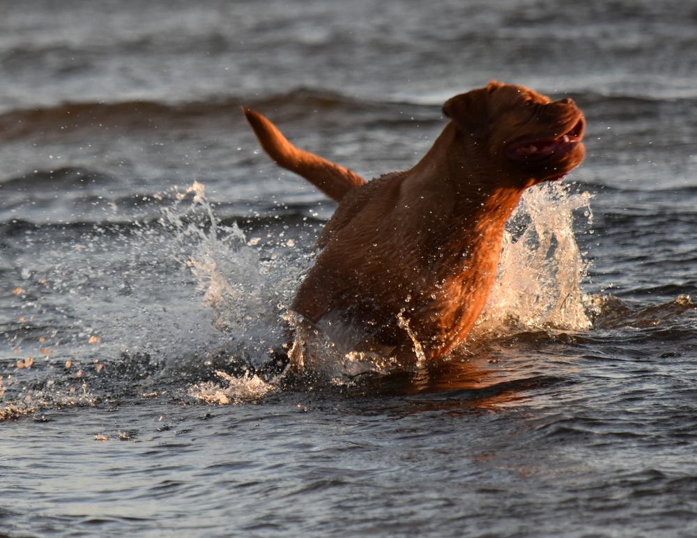 Рывок, еще рывок