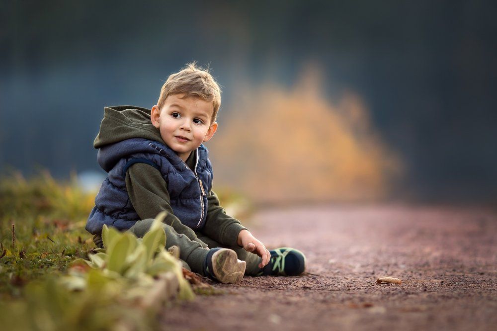 Ёжик в тумане