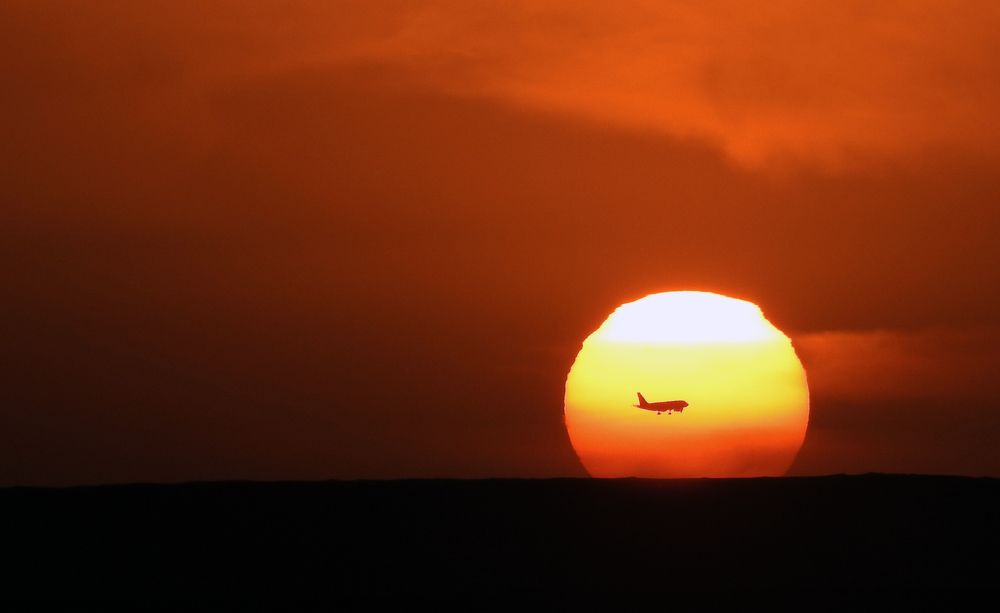 Plane by the sunset