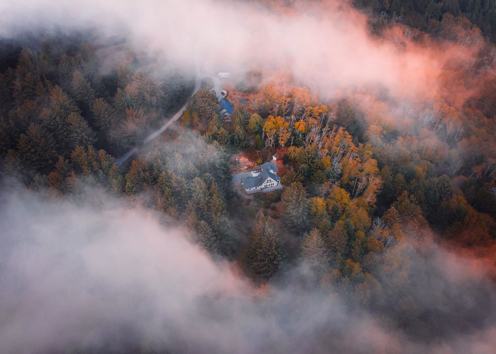 Одинокий домик