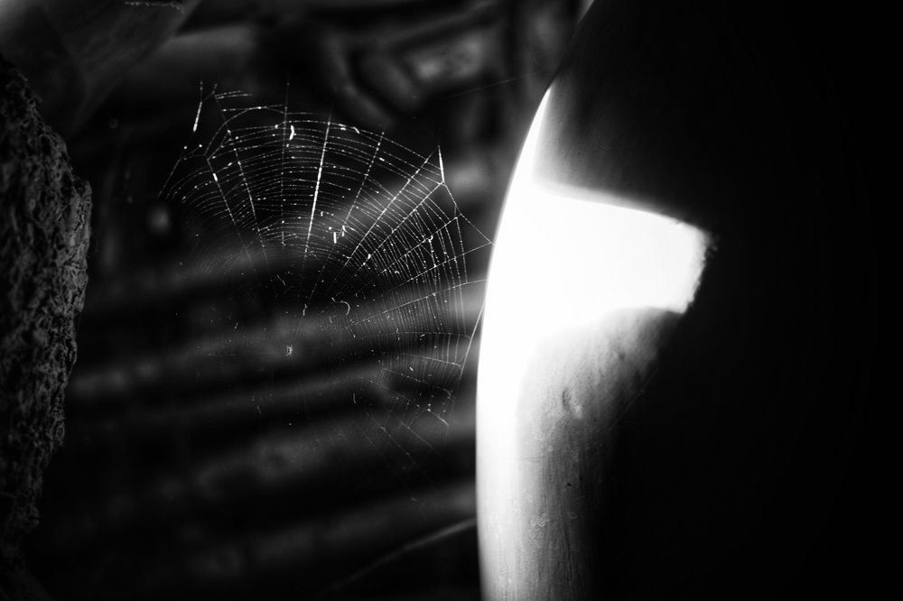 THE FALL OF DARKNESS